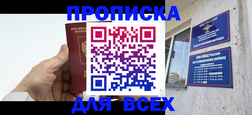 прописка в Шебекино